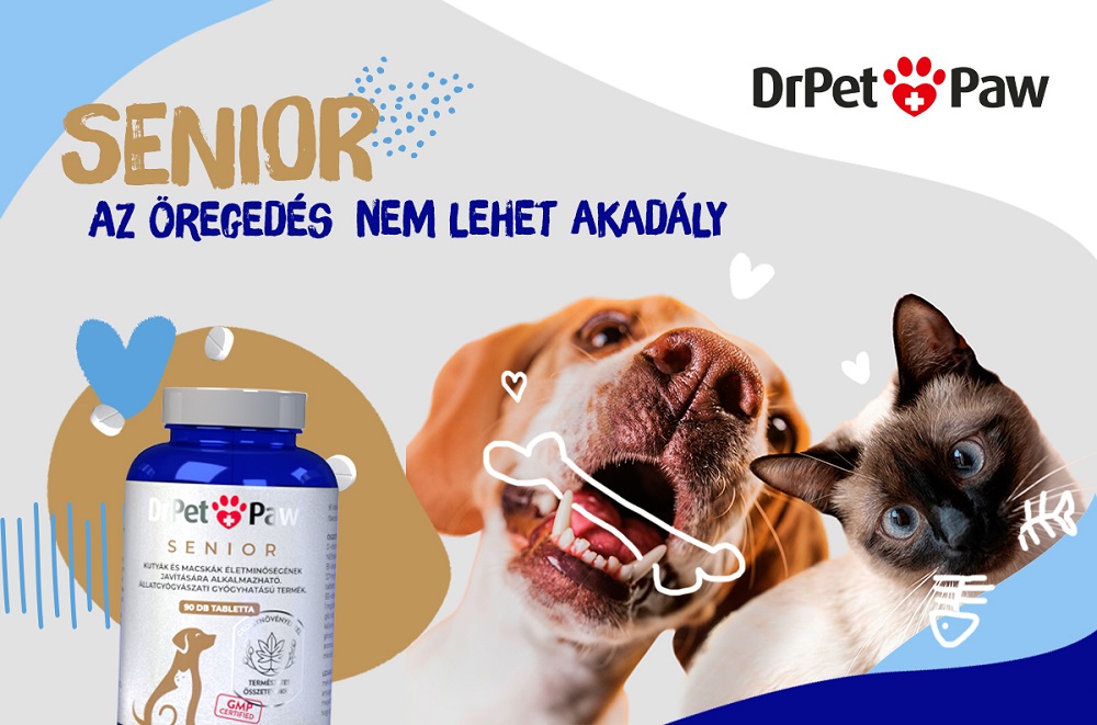 Az érett kor is lehet aktív, boldog és egészséges