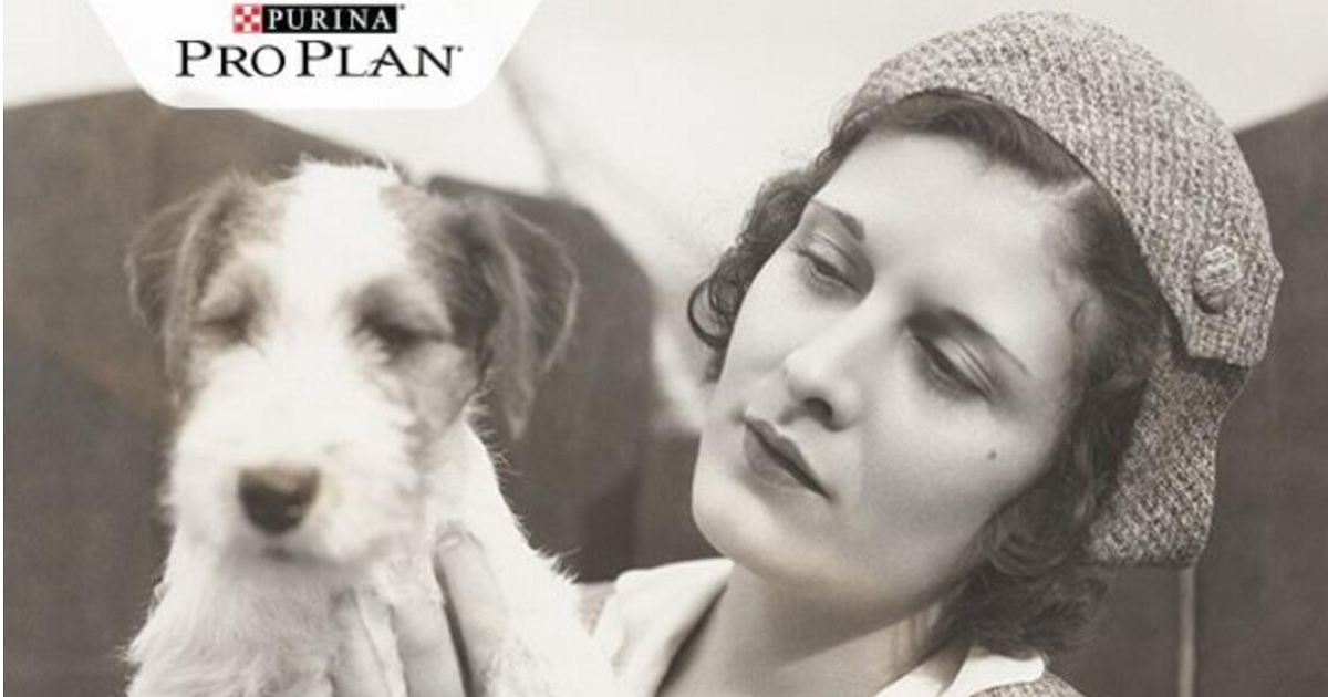 A házikedvencek táplálásának története 1. rész