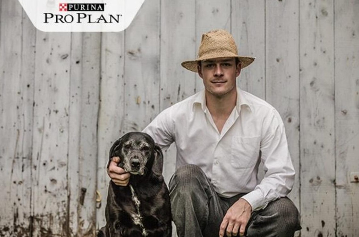 Táplálási trendek az őskortól napjainkig 2. rész